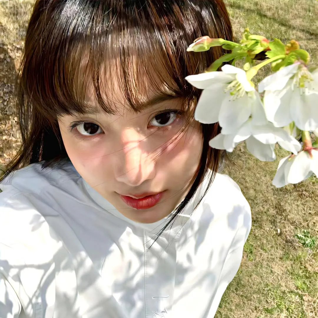 芝士火腿